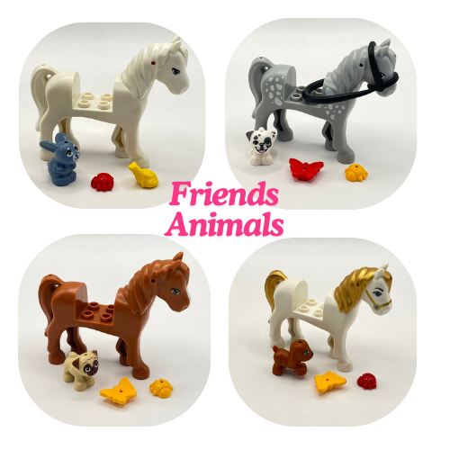 Birthday Bundle (Ages 4-8)