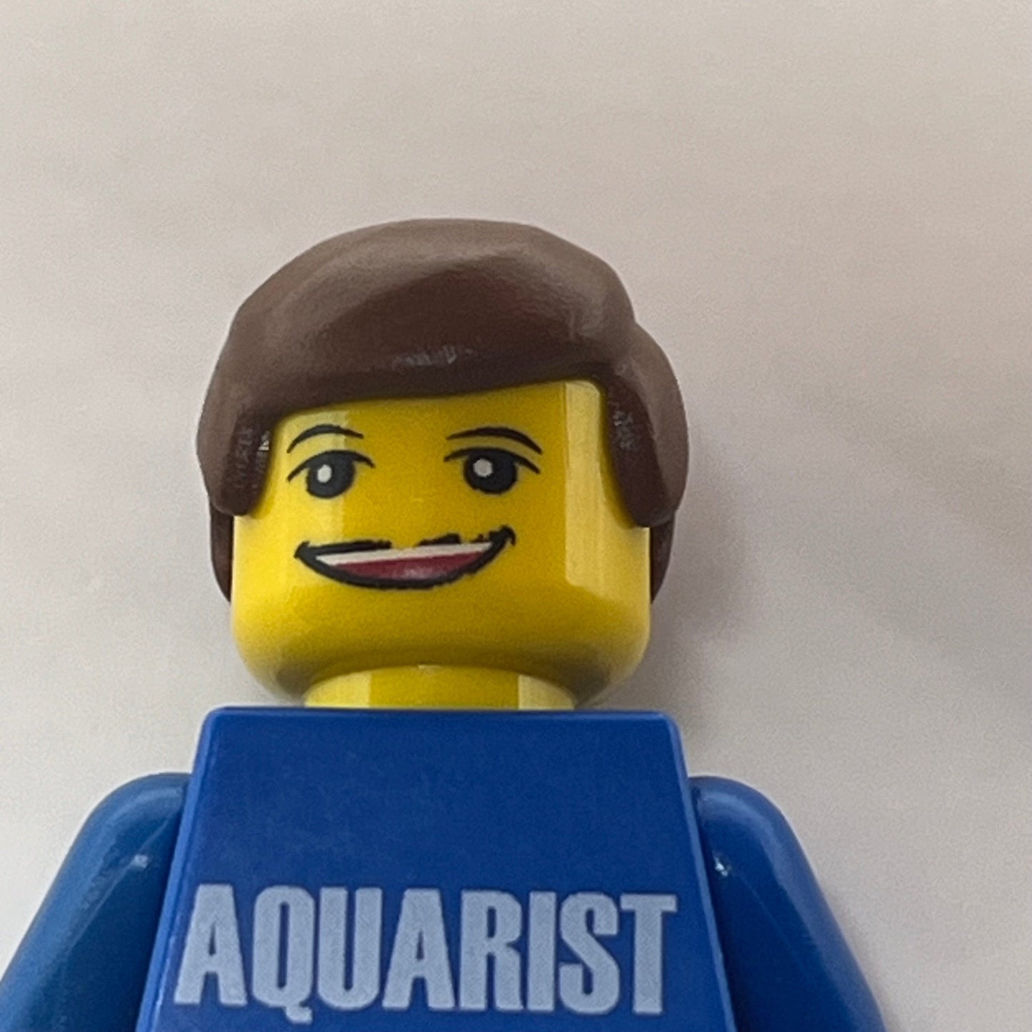 LEGO Aquarist Minifigure (gen158) Promotional, Very Rare