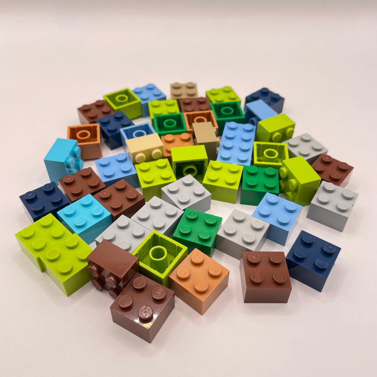 LEGO Bricks, 2x2, Earth Tones, 50 Pieces