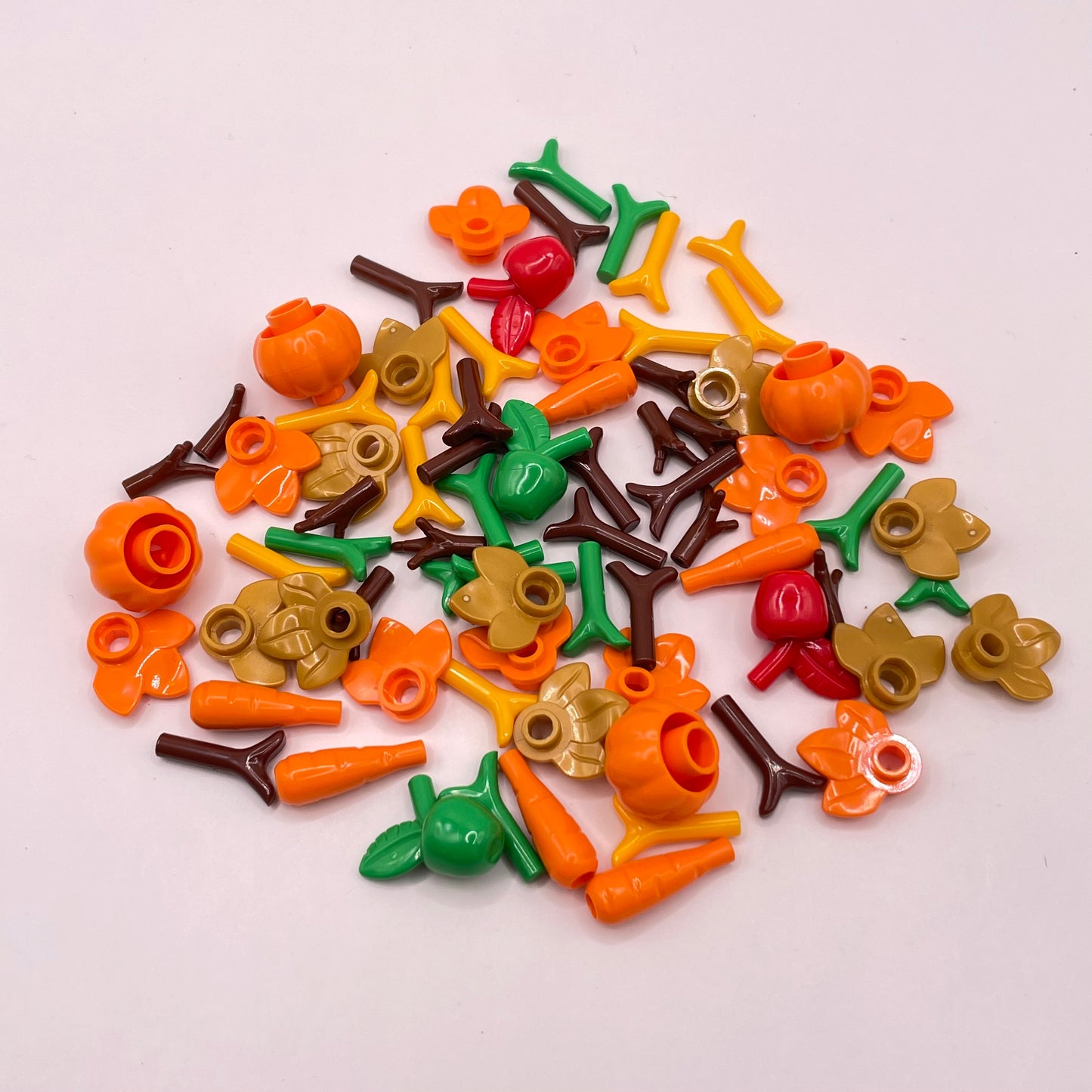 LEGO Autumn Harvest, Pumpkins, Mixed Colours, Plant, 75 Pieces
