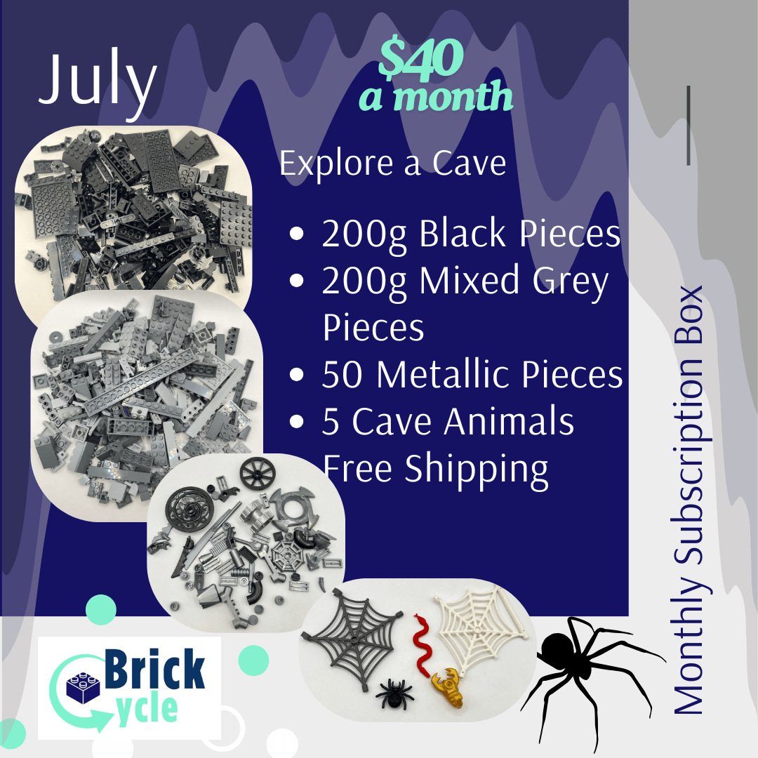 LEGO Monthly Play Subscription Box