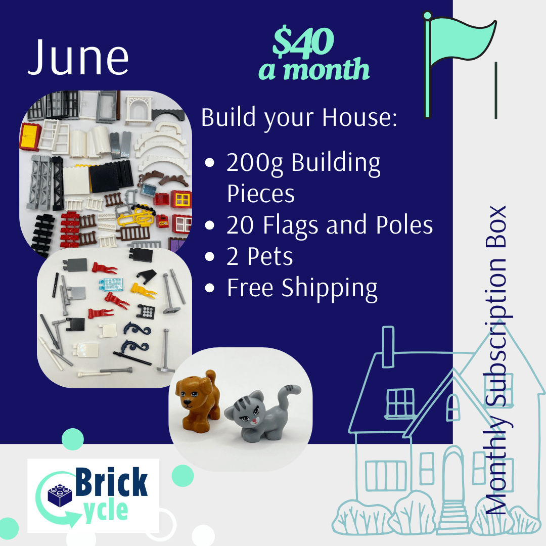 LEGO Monthly Play Subscription Box