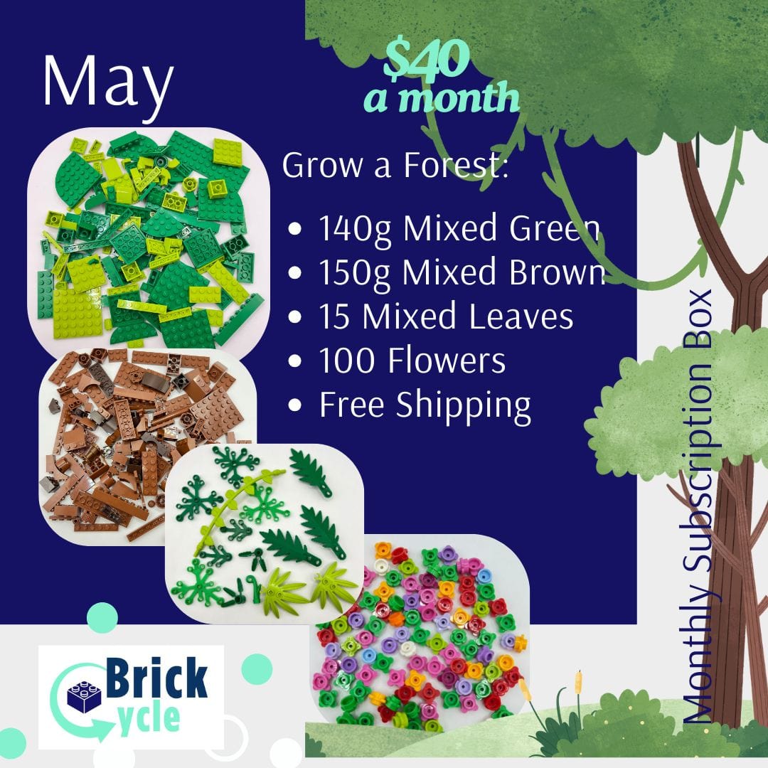 LEGO Monthly Play Subscription Box