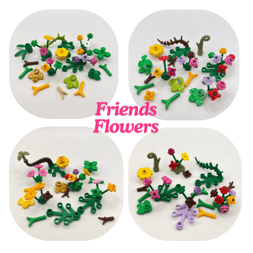 Birthday Bundle (Ages 4-8)