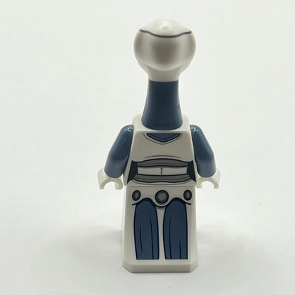 LEGO Taun We, Star Wars, Minifigure (sw1216)