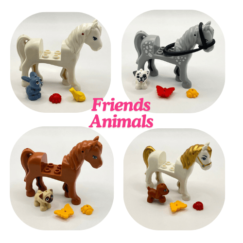 Birthday Bundle (Ages 4-8)