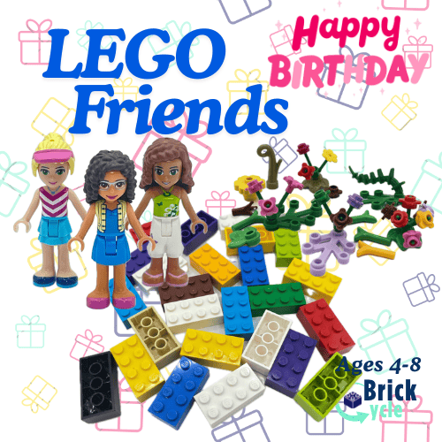 Birthday Bundle (Ages 4-8)