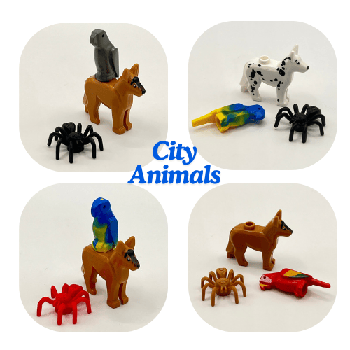 Birthday Bundle (Ages 4-8)
