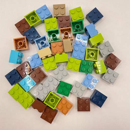 LEGO Bricks, 2x2, Earth Tones, 50 Pieces