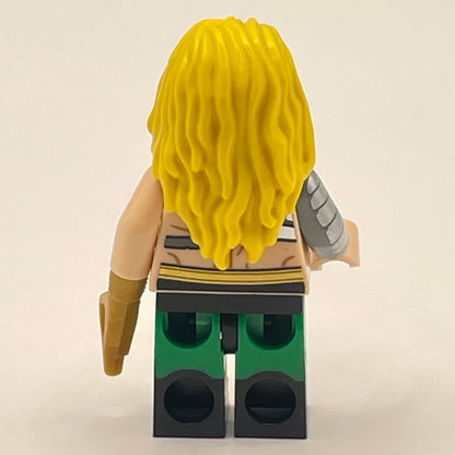 LEGO Aquaman, Super Heroes, Minifigure (colsh03)
