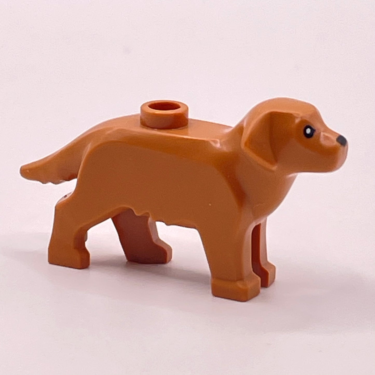 LEGO Labrador/ Golden Retriever, Animals, 1 Pieces