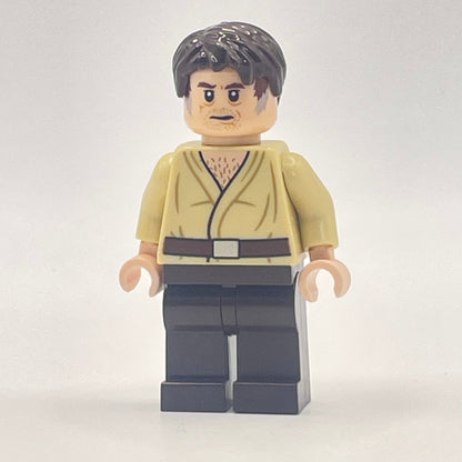 LEGO Wuher, Star Wars, Minifigure (sw0893)