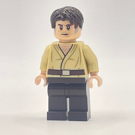 LEGO Wuher, Star Wars, Minifigure (sw0893)