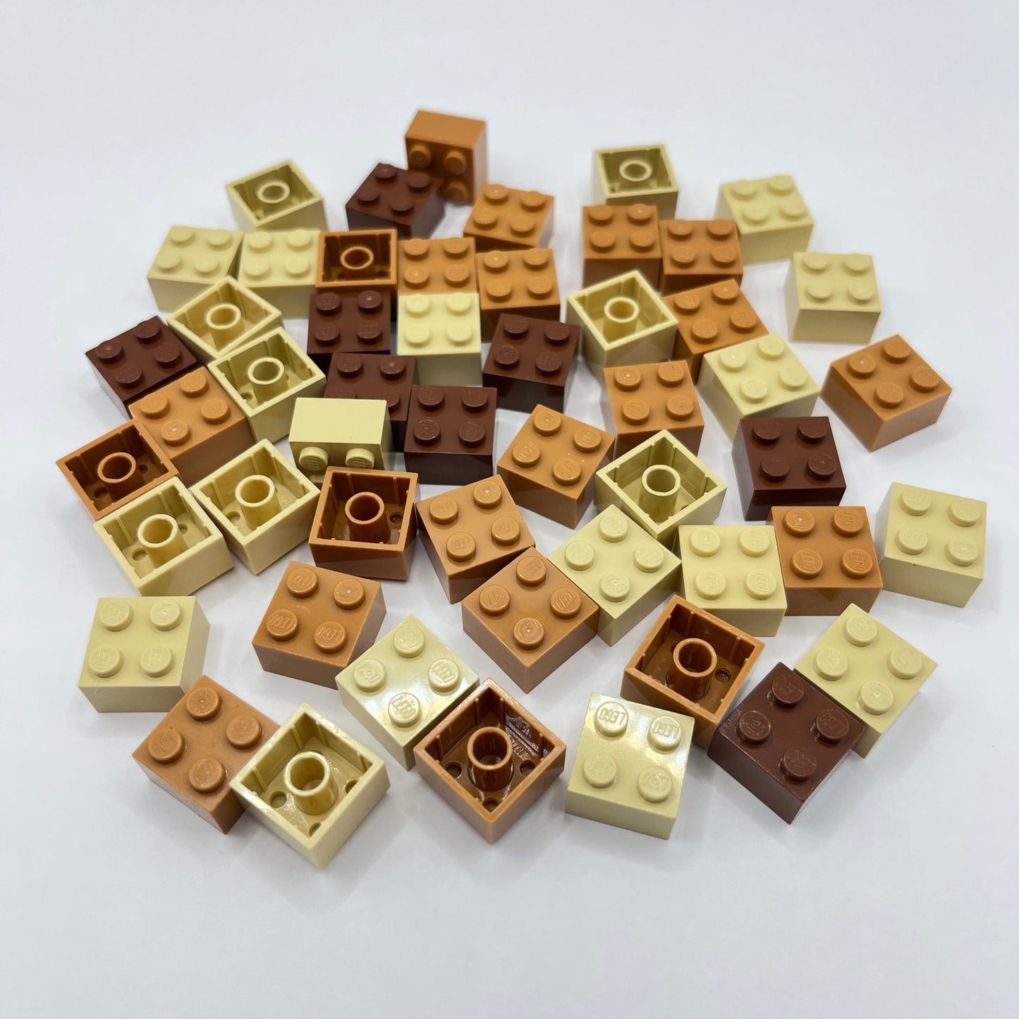 LEGO 2x2 Bricks, Earth Tones, 50 Pieces.