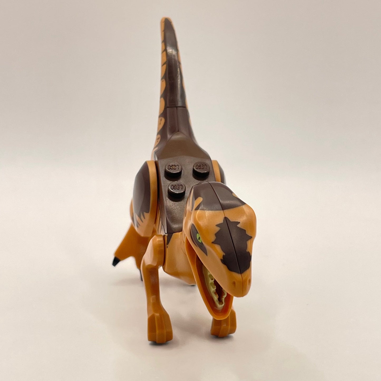 LEGO Dinosaur Raptor Brown (Jurassic World / Park) (raptor10) Fair condition