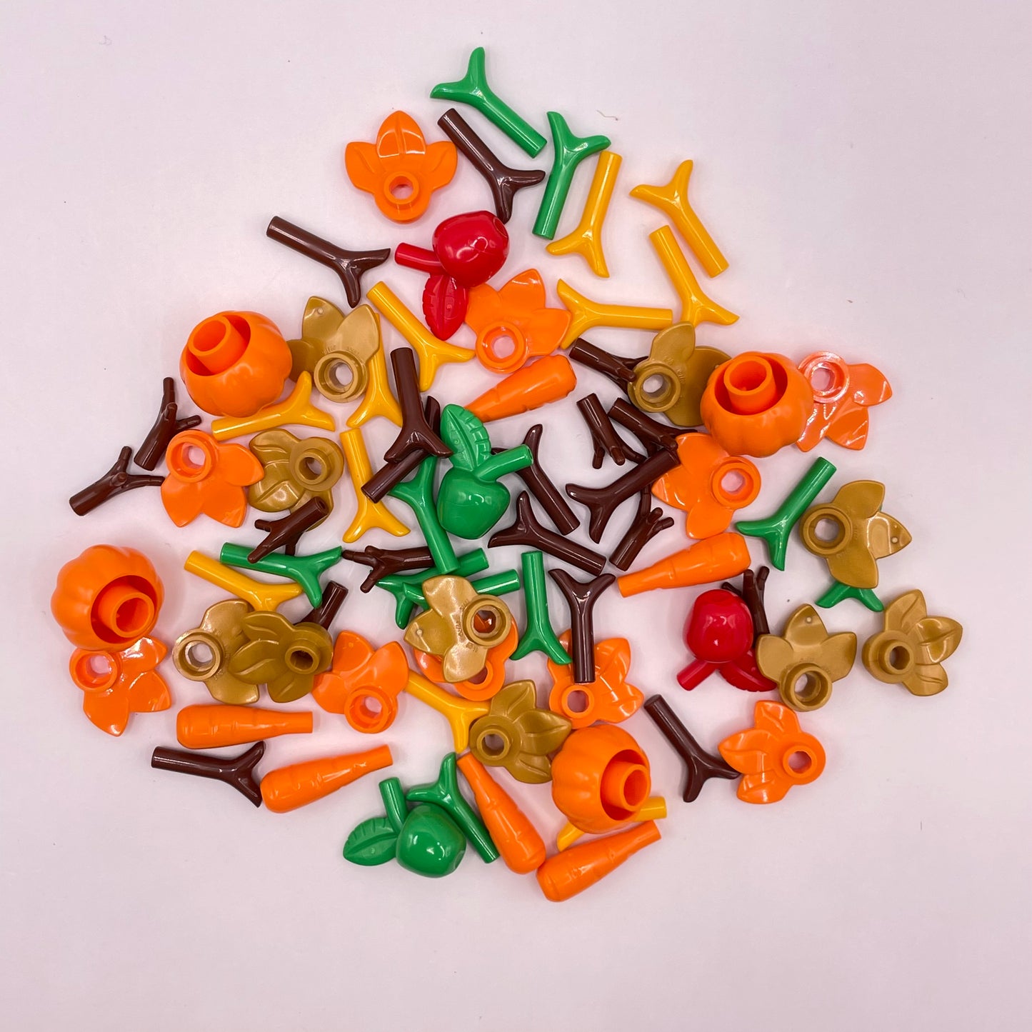 LEGO Autumn Harvest, Pumpkins, Mixed Colours, Plant, 75 Pieces