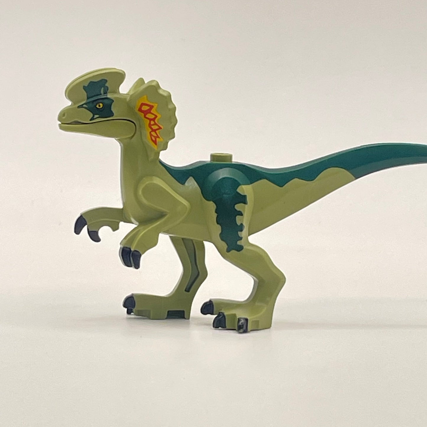 LEGO Dilophosaurus Dark Green, Dinosaur, Animal, 1 Piece (dilo04)