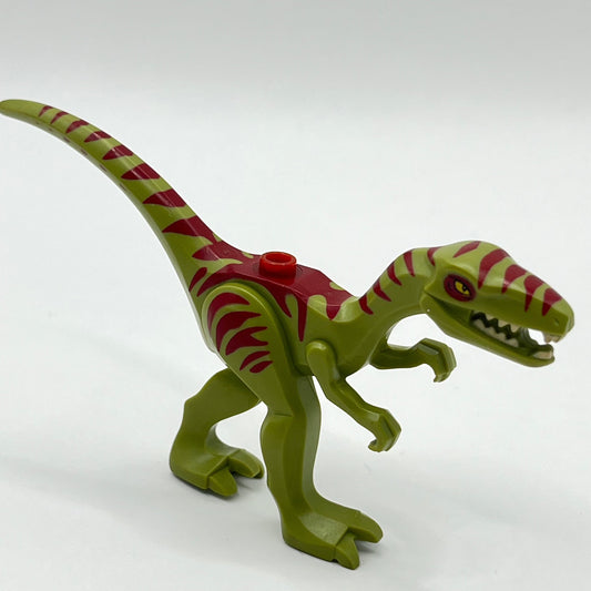 LEGO Coelophysis/Gallimimus, Dark Red Stripes, Dinosaur, Animal