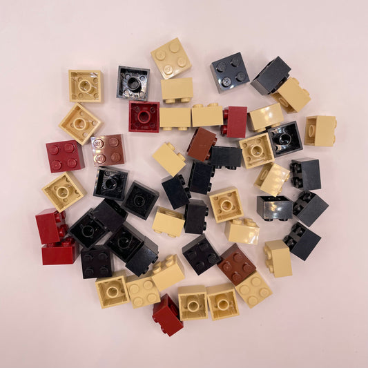 LEGO 2x2 Bricks, Earth Tones, 50 Pieces.