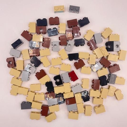 LEGO Bricks 1x2, Earth Tones, Approx. 80g