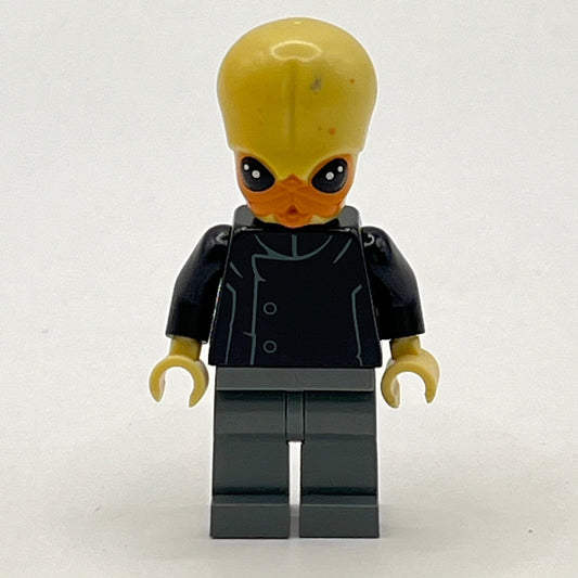 LEGO Bith Musician, Star Wars Minifigure (sw0554)