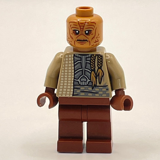 LEGO Weequay Guard, Star Wars, Minifigure (sw1197)