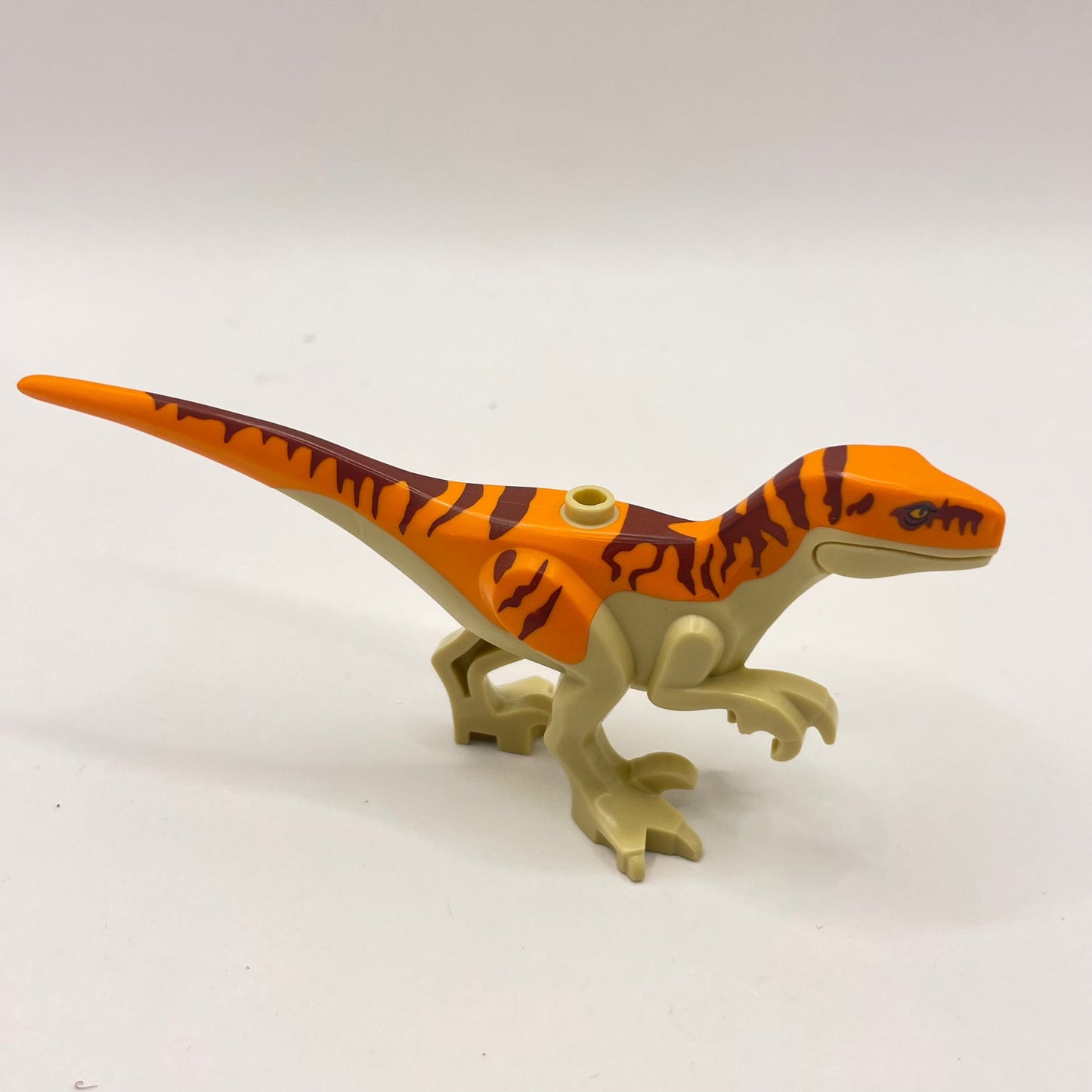LEGO Atrociraptor - Orange Back, Dinosaur, Animal, 1 Piece