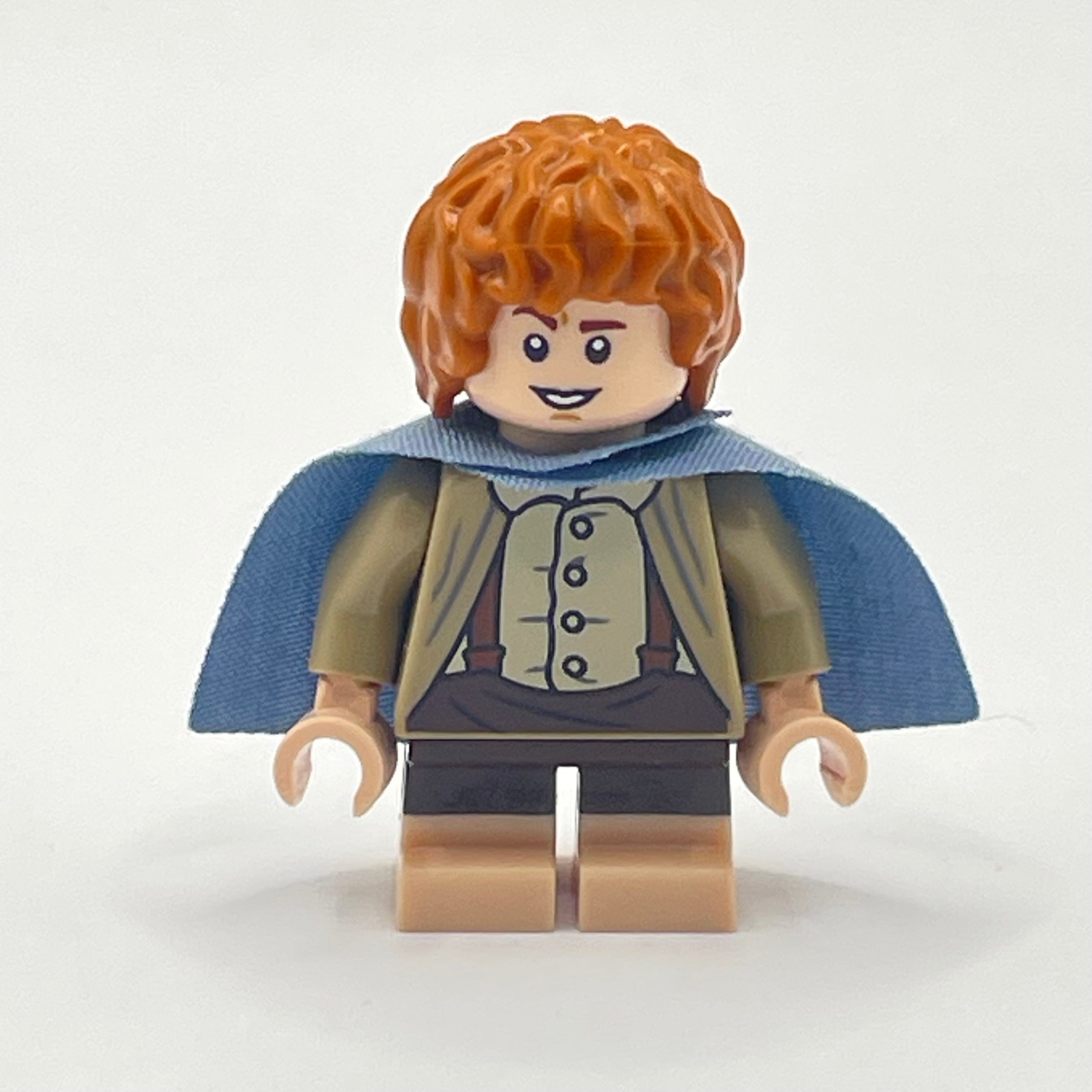 LEGO Samwise Gamgee (Sam), Lord of the Rings, Minifigures (lor113 ...
