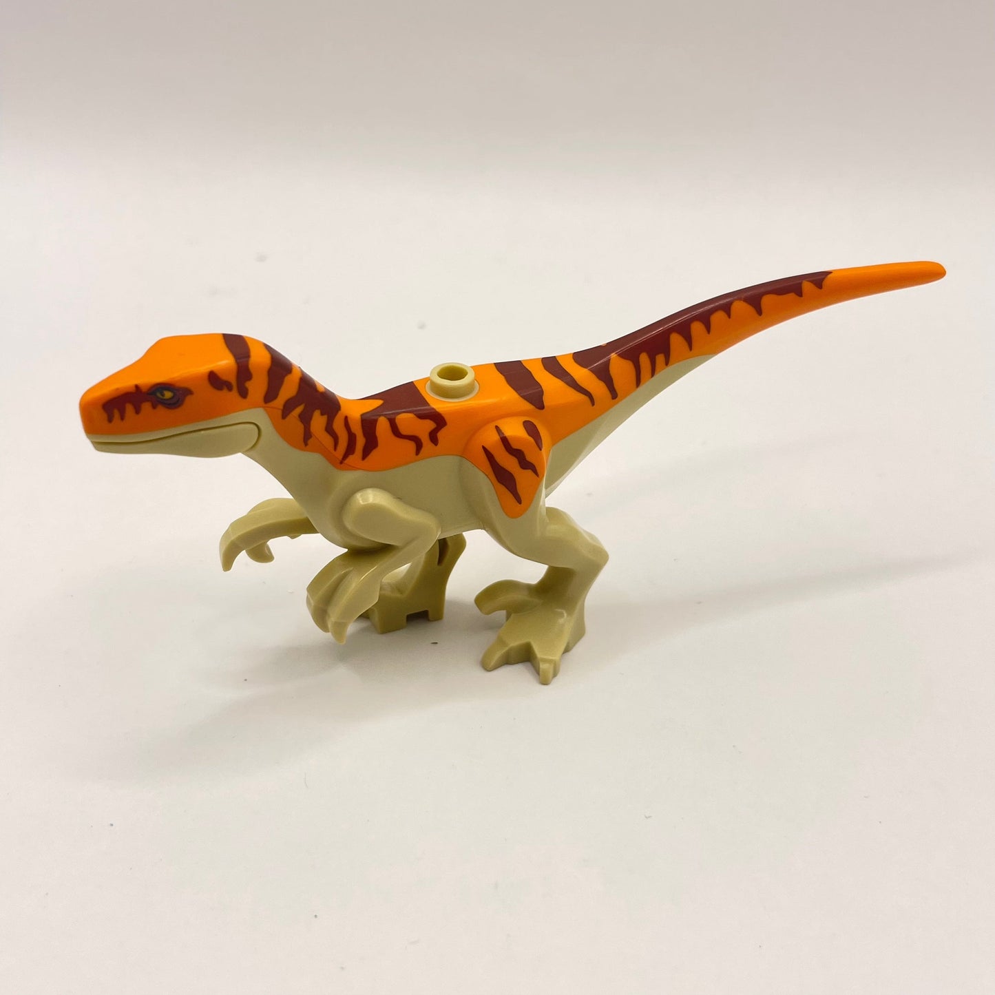 LEGO Atrociraptor - Orange Back, Dinosaur, Animal, 1 Piece