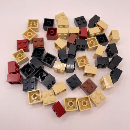 LEGO 2x2 Bricks, Earth Tones, 50 Pieces.