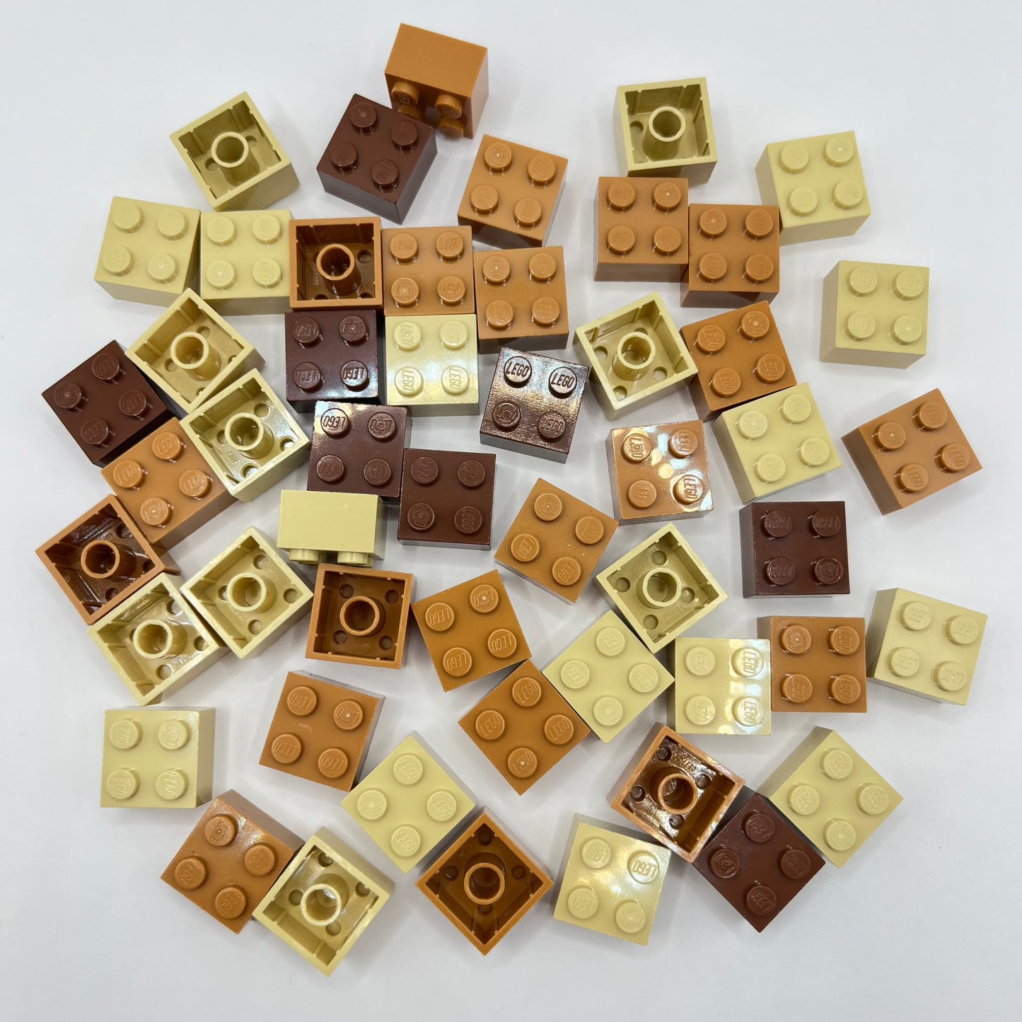 LEGO 2x2 Bricks, Earth Tones, 50 Pieces.