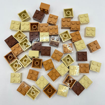 LEGO 2x2 Bricks, Earth Tones, 50 Pieces.
