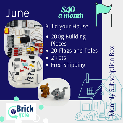 LEGO Monthly Play Subscription Box